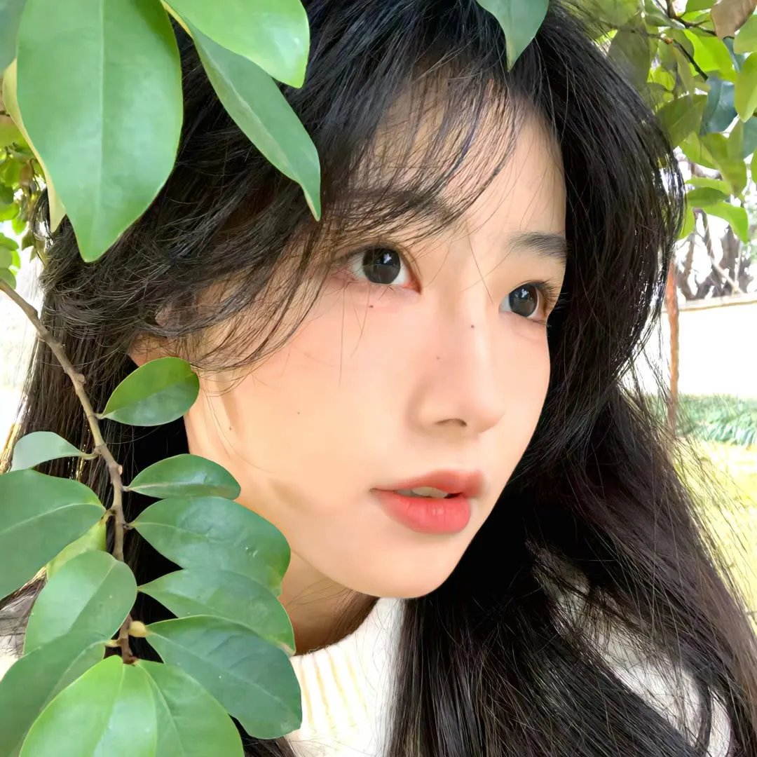 跨越彩虹